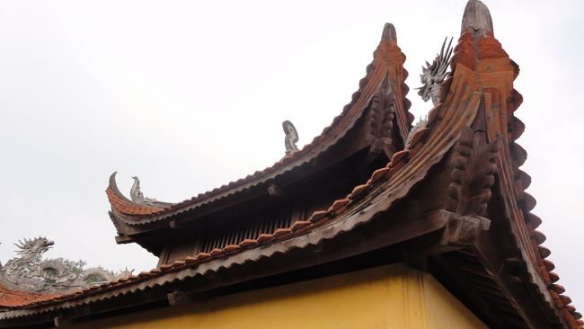 登ってみました。