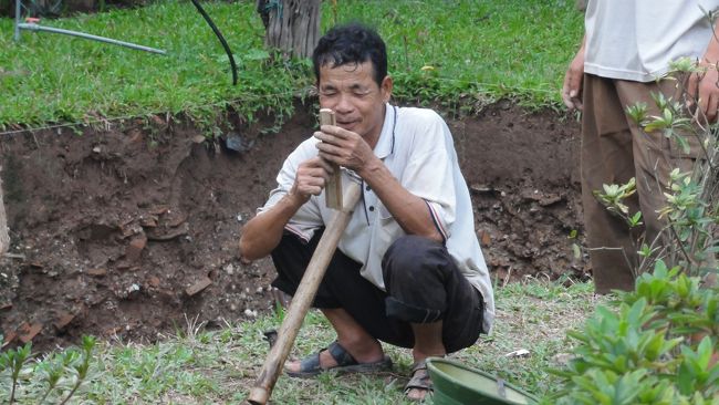 何かが出てきたようです。