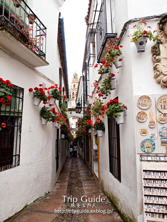 花の小径 花の都を象徴する場所 コルドバ スペイン の旅行記 ブログ By M Falvorさん フォートラベル 花の小径 花の都を象徴する場所 コルドバ スペイン の旅行記 ブログ By M Falvorさん フォートラベル