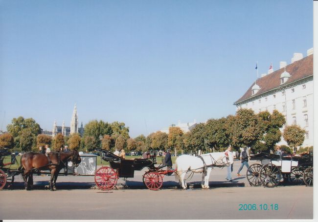 ウィーン市内には、いろんなところに馬車があります。