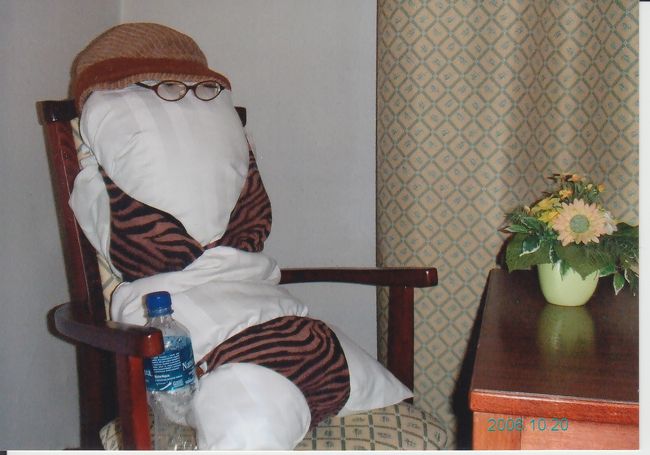 ってこれ、私の枕じゃないですか！<br /><br />ひとしきり笑って、中欧の夜は更けていきました。<br /><br />楽しい女子3人旅、これにて終了です。