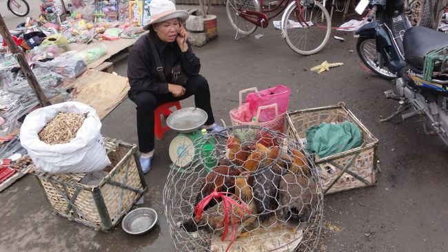 ハノイの市場は、観光客を　「嫌がり」　ますが、<br /><br />ハロン湾では、まだ　「ＯＫ」　だそうです　。