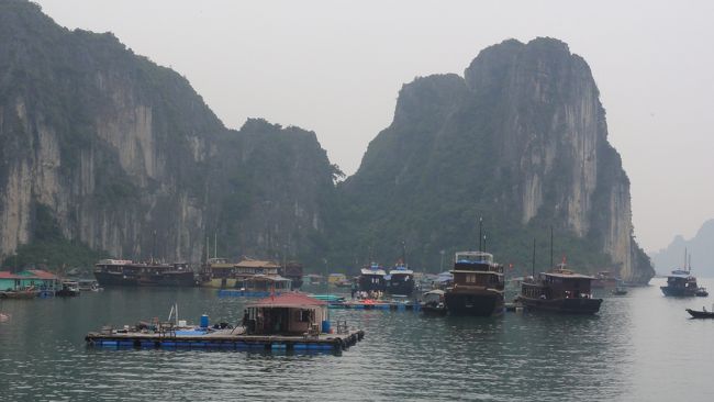 今日は、雨こそ降りませんでしたが、<br /><br />「天気」　に恵まれませんでした。