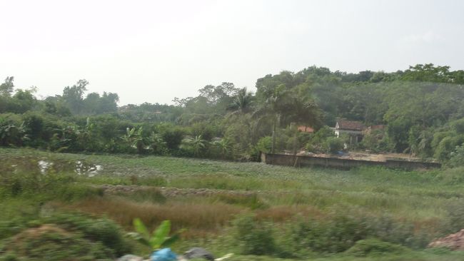 ハノイへ向かいます。<br /><br />「水牛」　等がいて、いい風景でした。