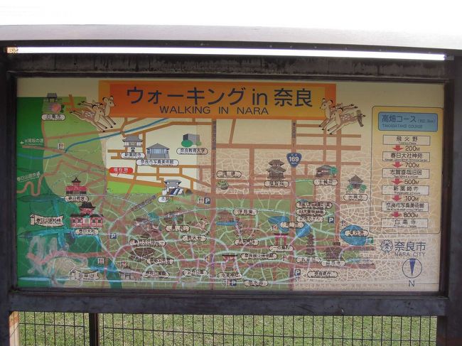 ちょっと肌寒い紅葉の時期、ウォーキングには最適ですね。