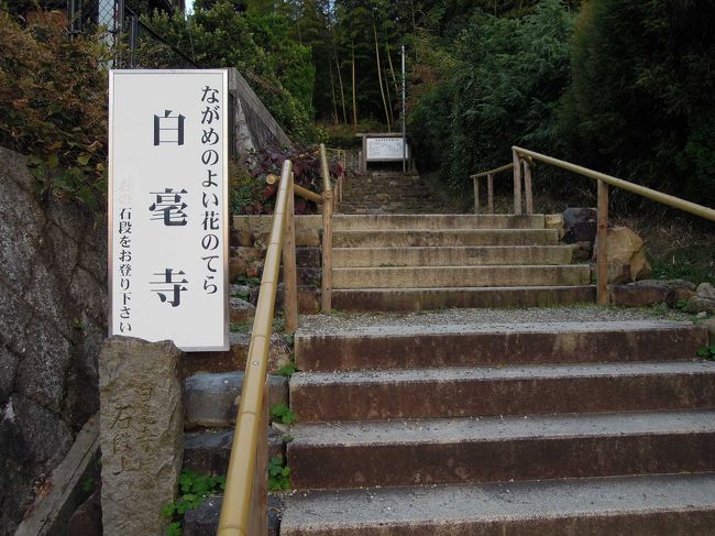 高円山の山麓にあり、境内から奈良盆地が一望できる景勝地に建つ寺です。