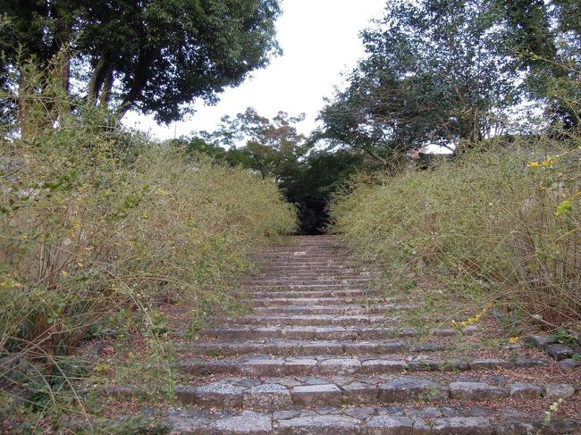 まだまだ、階段が続きます。