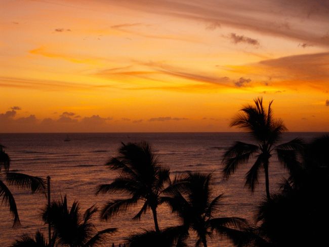 部屋のベランダよりパチリ☆<br /><br />朝からこーんな夕方までのプライベートツアー。ハワイネタとか観光ツアー裏話とかの話をちょいちょい聞きつつの楽しい時間でした。Ｊちゃん、運転してくれたＴさん、私をまぜてくれた友人一家、ほんと楽しくて贅沢な時間をありがとー♪<br /><br />さて、友人一家も★★★★★ホテルの部屋が見たい、とゆーことで私と友人の部屋に遊びに来てたので、そのまま夕飯もご一緒させていただくことに。ここまでは良い。問題は今日の夕飯どうしましょ、と。ガイドブックを見てみるも「ここ☆」ってところがどーもない。。。<br />迷った末、私の上司さんがおいしいよって言ってたお店にいってみることに。<br />が、行ってみるとなんと60分待ちとのこと、それはちょっとー・・・とゆーことで向かうは、夜なら比較的待ち時間が短いとゆーことで、