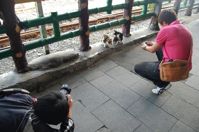 子猫に群がる男たち。