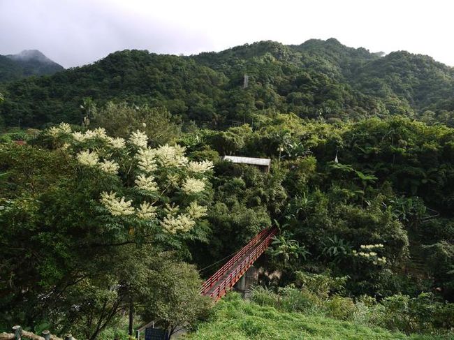 ここも「台北に舞う雪」に出てくる印象的な橋！！<br />テンションあがりました。<br /><br />工事中で入れなかったのが残念。