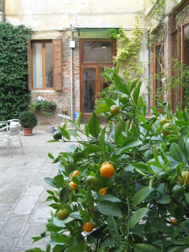 ホテルの中庭にはオレンジが生っています。<br /><br />年に一回海外旅行を楽しみにしている私のホテル選択基準（一人旅の場合）は背伸びも我慢もしないことです。家族旅行は1ﾗﾝｸ上にします。<br />自動車会社のｴﾝｼﾞﾆｱとして海外出張を頻繁にしていた時は厳しい仕事なのでﾌﾗｲﾄはﾋﾞｼﾞﾈｽｸﾗｽ、出張費用内でそれなりのﾎﾃﾙに泊まりましたが、ﾘﾀｲｱした今は日常生活に近い宿泊ができれば十分です。高級ﾎﾃﾙの雰囲気を楽しむのは都内のﾎﾃﾙ･ﾃﾞｨﾅｰがいいです。<br />私のHP内サイトにはﾎﾃﾙ内のﾚｽﾄﾗﾝも紹介しています。<br />「食べる頁9」http://www7b.biglobe.ne.jp/~yamada423/taber9.html