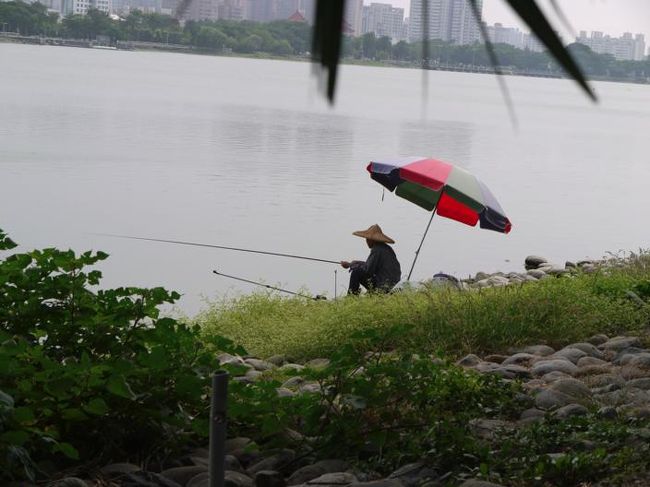 わあ〜南国っぽいなぁ〜<br /><br />おじさん釣れますかー？