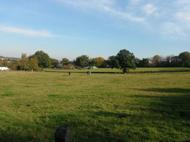 すぐ横は誰かの牧場です。<br /><br />人の敷地じゃないの?と思いながらも地図通りなのでそのまま進みます。<br /><br />途中何度か迷う分かれ目がありますが、よ〜く見るとどちらかに「PUBLIC FOOTPATH」と書かれた黄色いシールが貼ってあります。<br /><br />