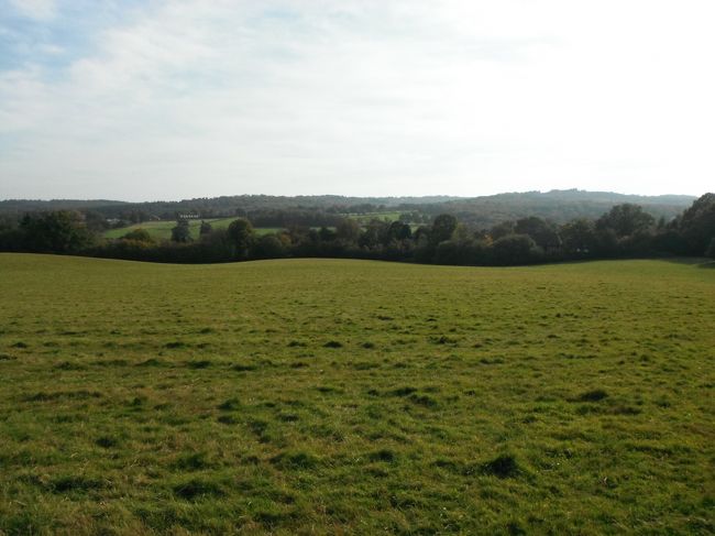 自然が広がっています。