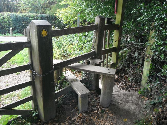 柵を越えて、今度は道路に沿って進みます。<br /><br />親子連れの姿が見えます。<br /><br />プーの橋から帰って来たところでしょうか。