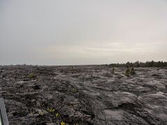 海の方へ向かう途中、一面の溶岩台地を見ることができました。
マウ・ロア・オ・マウナ・ウル展望台というところです。

この頃、天候は曇りから雨になりました・・・