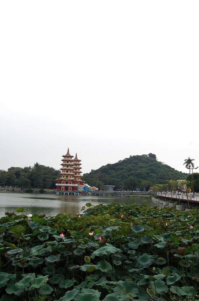 あそこまで歩くのか・・・近そうで遠い。<br />汗だくだ。<br />この日は31度でしたから。。