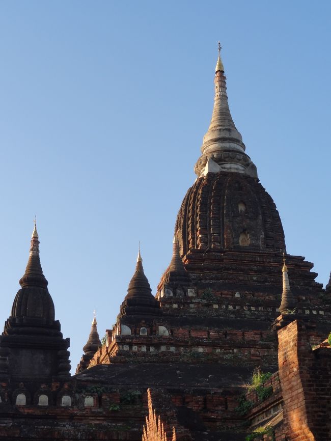 6:50　少しでも涼しいうちに……。<br />自転車を借りて、遺跡めぐり、レッツらゴー!<br /><br />まずは、<br />■■ナガヨン寺院。<br />外観がミャンマー人好みとか。。。