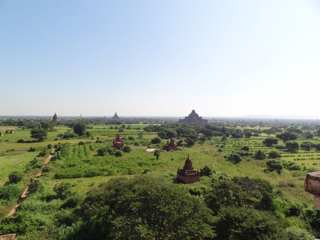 遠くは、今回胸焼け?のため断念した<br />スラマニ寺院とダマヤンジー寺院の姿も……。<br /><br />これにて午前の部、終了。