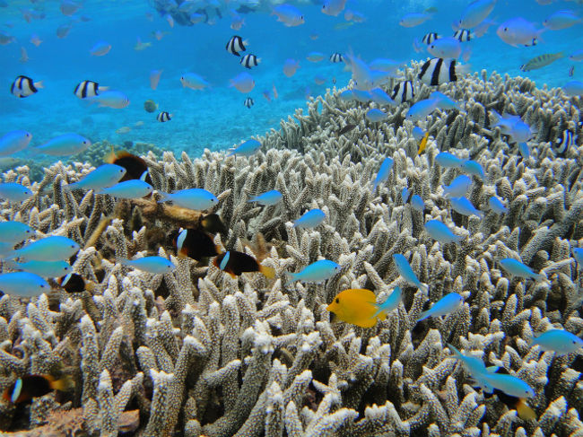 水槽の中に自分がはいったかのよう＾＾