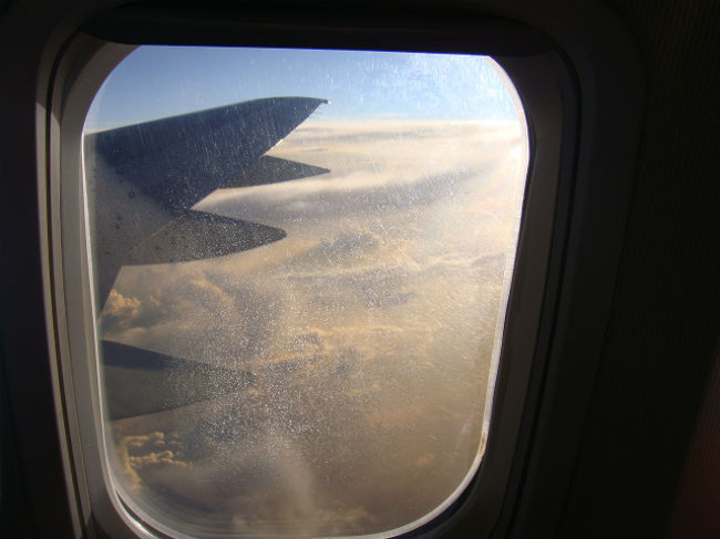 お土産をＡＢＣ（ゴディバチョコ８個）、<br />スーパー（ｍ＆ｍ２０本）で購入しホテルへ。<br /><br />深夜便で帰国なので、集合は午前３時。<br />日本時刻２時。<br />二人とも、帰宅後出社。＾＾：<br /><br />それなのにお風呂に入って、<br />なんだかんだと話し込んで深夜２時。<br />まずい眠らなきゃって３０分くらいうとうとしてチェックアウト。<br /><br />空港のソファーで座ったまま眠る。<br />かなりしっかりと。<br />「グッモーニーン！」と大声で空港係員に起こされ、<br />係員たちに「よく眠れた？」など話しかけられながら<br />慌てて機内へ。＾＾：<br /><br />