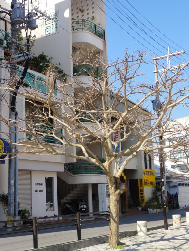 <br />ゆっくりめに起床。<br /><br />ホテルでバイキングの朝食をとり、今日は壺屋でやってる<br />イベントに出掛けます。<br /><br /><br />ホテルの朝食はいたって普通。<br />でも格安で泊ってるんだし、こんなもんでしょう。<br /><br /><br />朝食会場で働くおばちゃま達はテキパキとしていて<br />朝から気分良かったです。<br /><br />