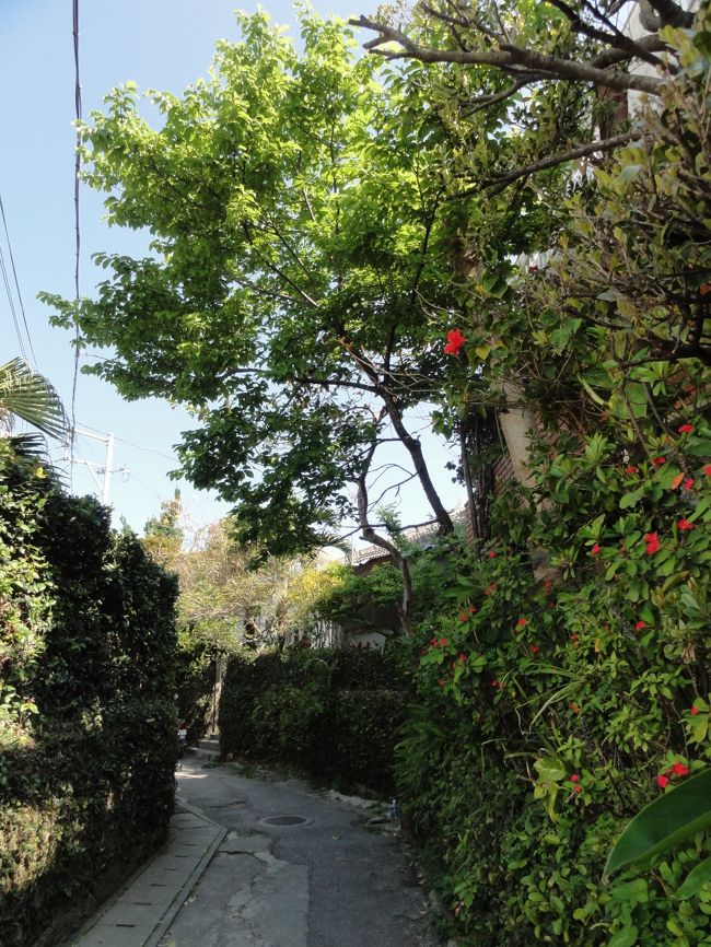 <br />すーじーぐわ(小道)もいい感じー♪