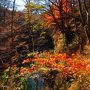 ２０１１　全室源泉露天の宿 四万温泉「キセキノ湯つるや」に泊まる　草津・四万・榛名の旅