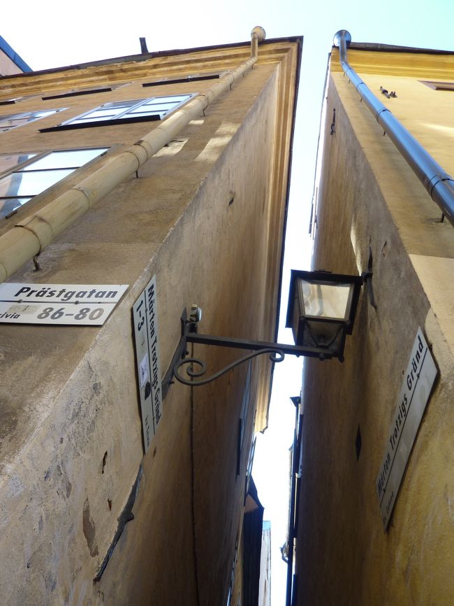 「モーテン・トローツィグ・グレン」は団体さんがサラッと寄ってる感じで結構人が居ました。<br />人が居なくなるまで遠回りして階段の上側に移動。