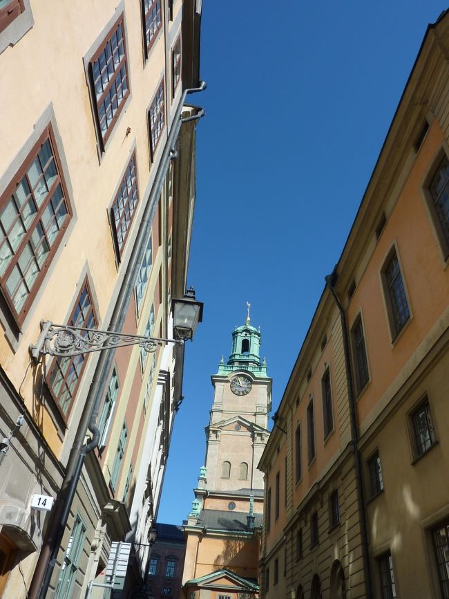 来ました。大聖堂です。<br />