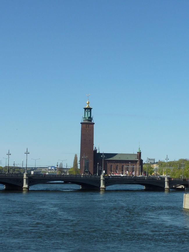 見えました！市庁舎です。もちろん、徒歩です。この姉妹、歩けるんじゃない？ってなると、とことん歩きます。