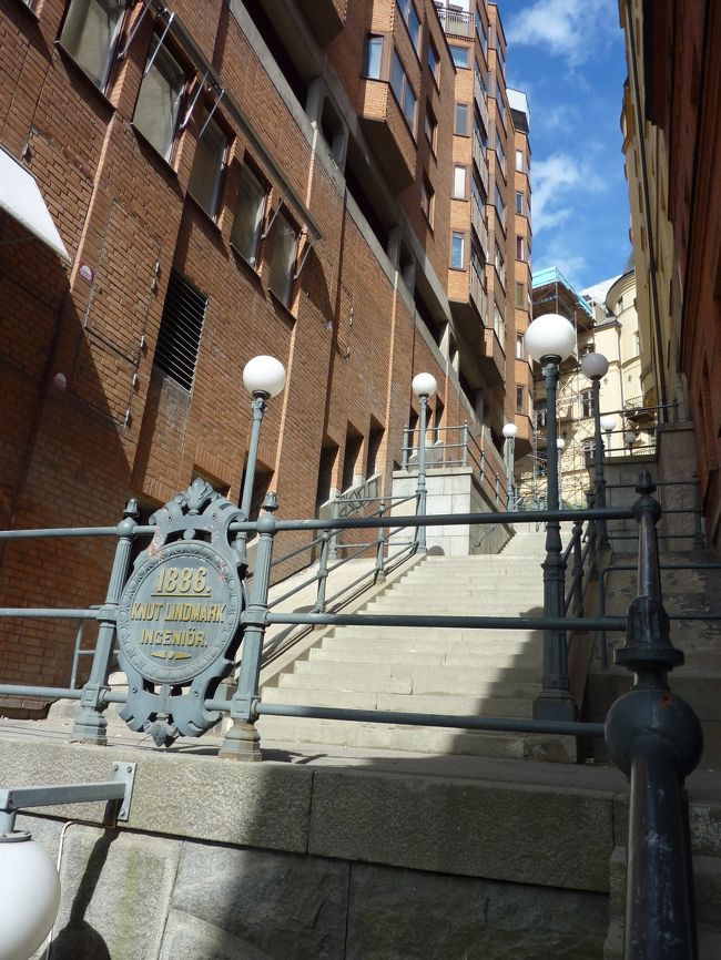 下からみたらこんな感じ！素敵過ぎる！