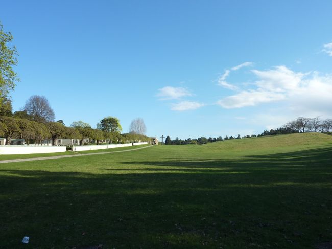 言葉がないですね。すごい。