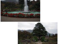 強羅公園は箱根フリーパスで入園無料
http://www.hakone-tozan.co.jp/gorapark/

フランス式整型庭園といって左右対称の美しいお庭ですが、ずっと坂道上りづめ〜
シンボルのヒマラヤ杉は樹齢約100年　入り口近くに桜の花が咲いていました。

遠く「大」の字が浮き出された大文字山＝明星岳を望めます。