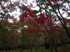 強羅公園の西門を出ると、すぐに箱根美術館
http://www.moaart.or.jp/hakone/

無料コインロッカーがあったので助かりました。
京都を思わせる苔庭からスタート