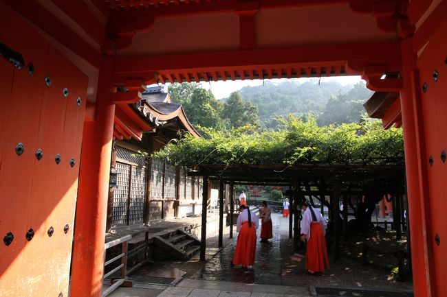 ここでも掃除は総出。