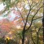 母娘旅③　紅葉をもとめて高雄・神護寺。そして東山。永観堂に南禅寺へ