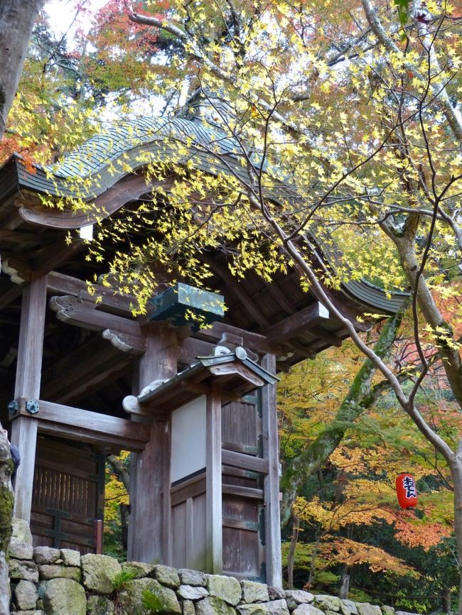 この山門は、１８６８年（明治元年）に京都の伏見桃山城から移築されたものだとか...