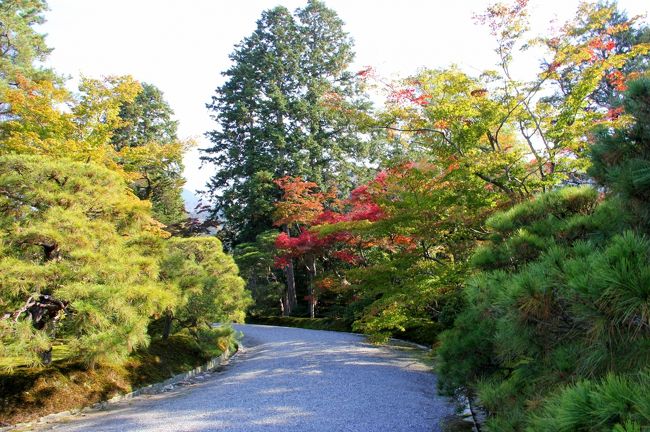 京都の御所と離宮(7) 天下の眺望ここに極まる 錦秋の修学院離宮 京都の御所と離宮(7) 天下の眺望ここに極まる 錦秋の修学院離宮