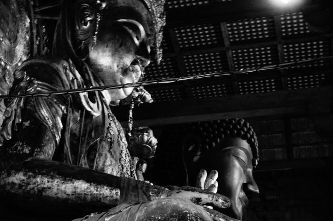 緊張感のある一枚