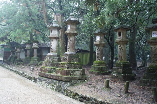 春日大社の参道