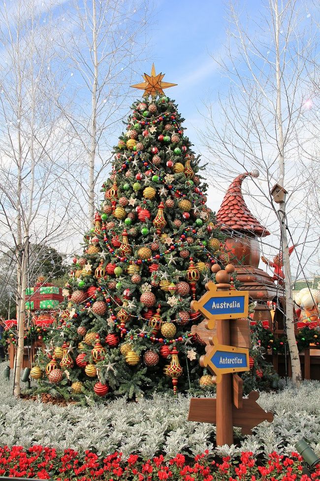 スペシャルフォト 2011 原板 クリスマス ランド