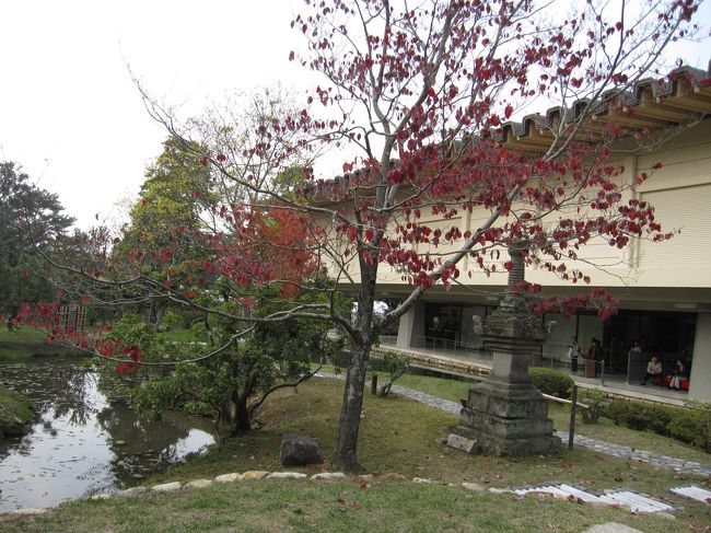 先程撮影した紅葉の木。例年と違って少々くすんでいる様な気がします。