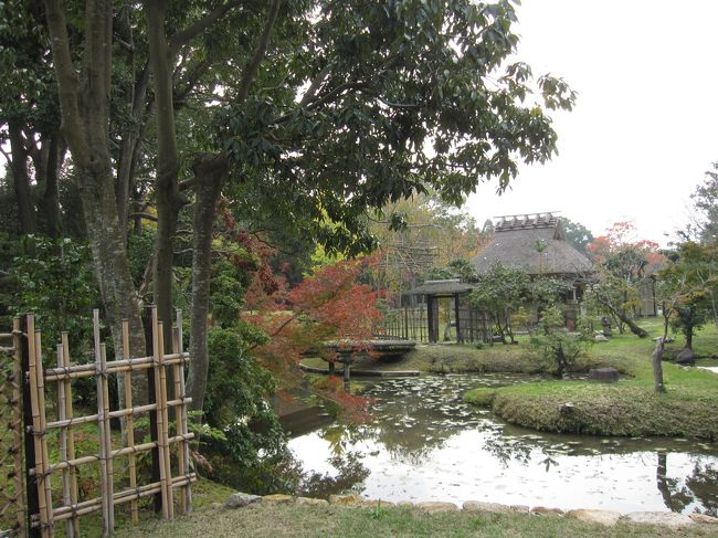 お茶席の前の庭の風景です。落ち着きます。