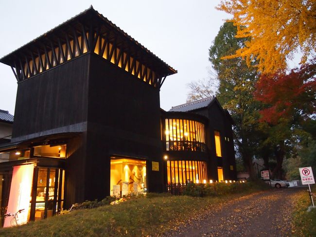 疲れたときは甘いものを！<br /><br />というわけで、奈良に着いたら友人に勧めてもらった葛きりを食べに天極堂へ♪<br /><br />