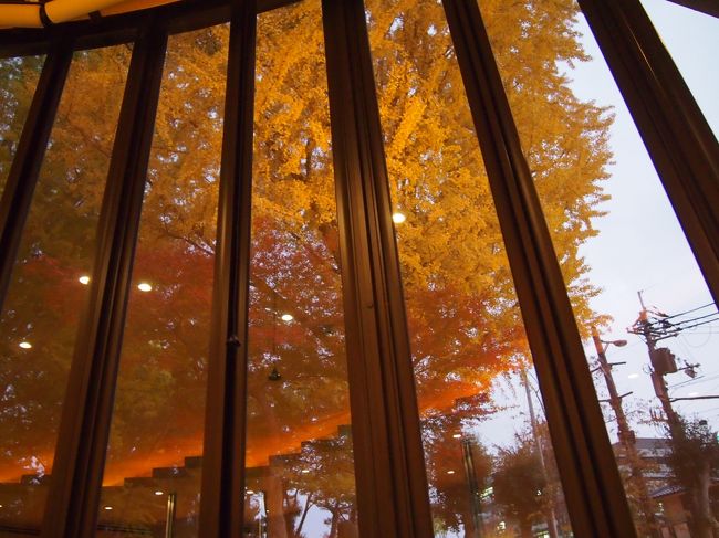 テーブル席から外の色づいた銀杏が見渡せます。<br />