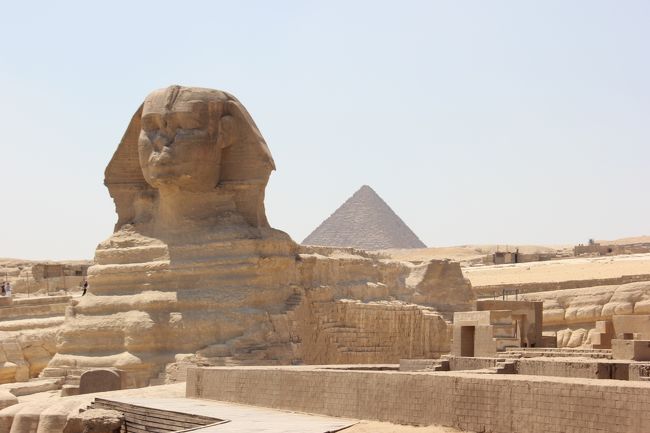 ケンタッキーを見ているスフィンクス。