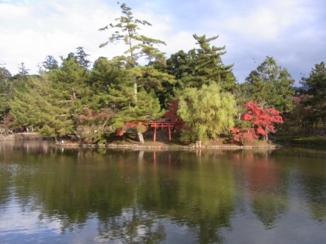 少しだけ紅葉してました♪