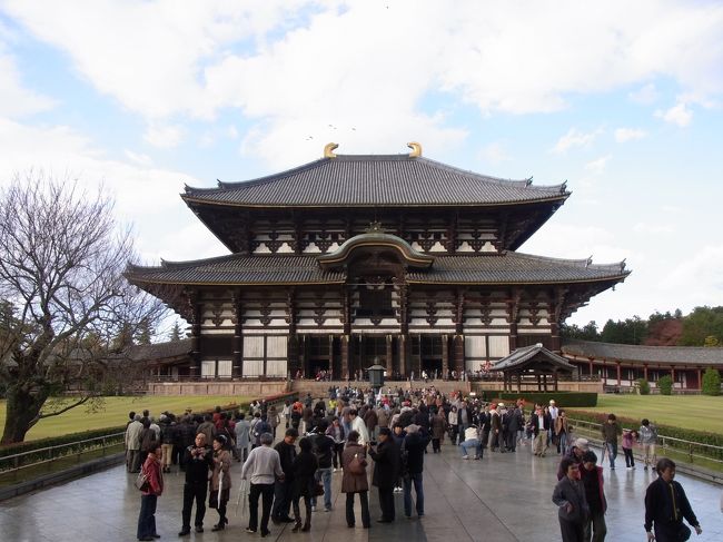 もうすぐ大仏さん！というところでカメラの電池がきれてしまいました・・・