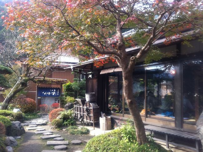 １１時半の開店より１０分過ぎぐらいに着きましたがすでに満席でした。<br />庭を眺めながら順番を待ちます。